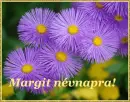 Margit nameday
