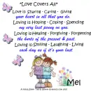 Mel - Love Covers All - Best Friends