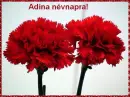 Adina nameday