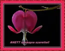 Anett nameday