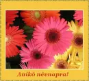AnikÃ³ nameday