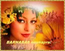 BarnabÃ¡s nameday