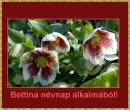 Bettina nameday