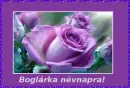BoglÃ¡rka nameday