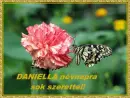 Daniella nameday