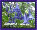 Dominika nameday
