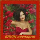 Ervin nameday