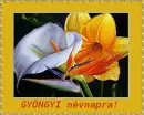 GyÃ¶ngyi nameday