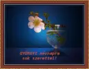 GyÃ¶rgyi nameday
