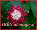 IrÃ©n nameday