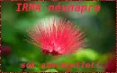 Irma nameday