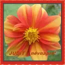 Judit nameday