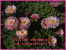 Klotild nameday