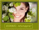 KornÃ©l nameday