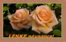 Lenke nameday