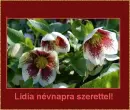 LÃ­dia nameday