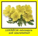 LukrÃ©cia nameday