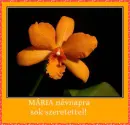 MÃ¡ria nameday