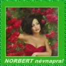 Norbert nameday