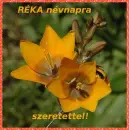 RÃ©ka nameday