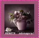 RenÃ¡ta nameday