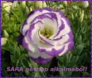 SÃ¡ra nameday