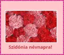 SzidÃ³nia nameday