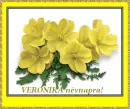 Veronika nameday