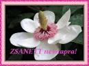 Zsanett nameday
