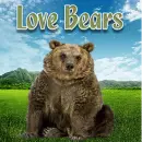FB Profile Pic - Leve Bears