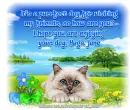 Purrfect day - Jane