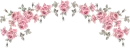 flower Divider