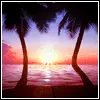 Tropical Sunset
