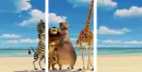 Madagascar