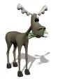 moose 