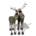 moose pair