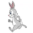 bunny