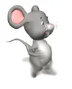 grey mouse