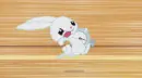 white bunny running