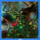 Peacock background