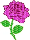 rose