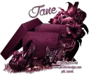 Flowers, shoe - jane