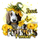 Jessi