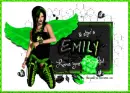 5 Stars- Emily