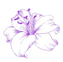 lily