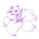 lily