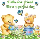 Have a perfect day