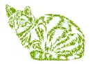cat