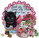 Thank you friend/Pami