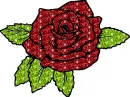 rose